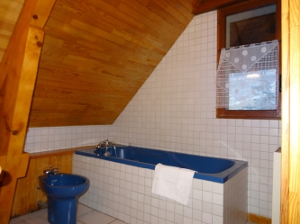 Les Orres, Chalet Le Pelve : appartement le Lagopède_12